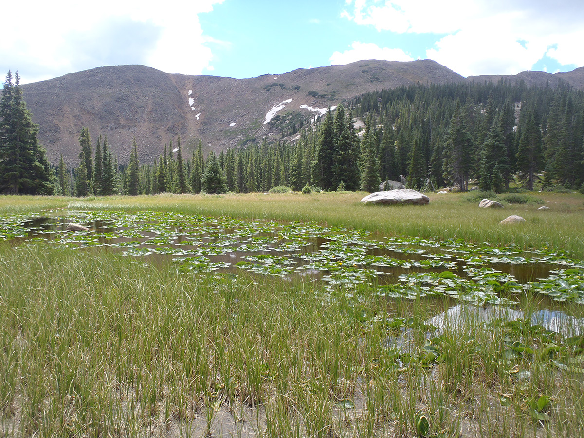 Backpacking Colorado Wilderness Lakes